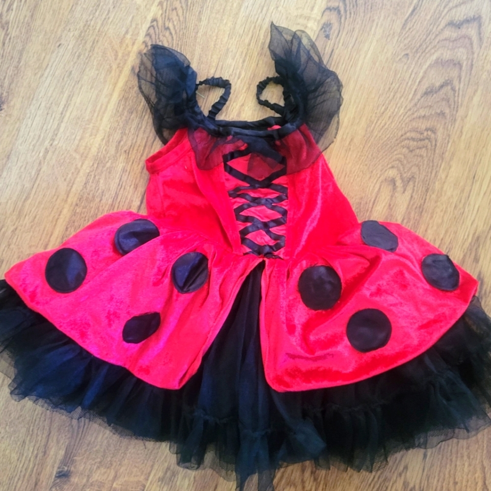 Ladybug costume